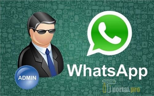 Админ группы в Whatsapp